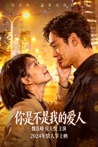 你是不是我的爱人 魏莲峰侯天悦浪漫爱情电影海报